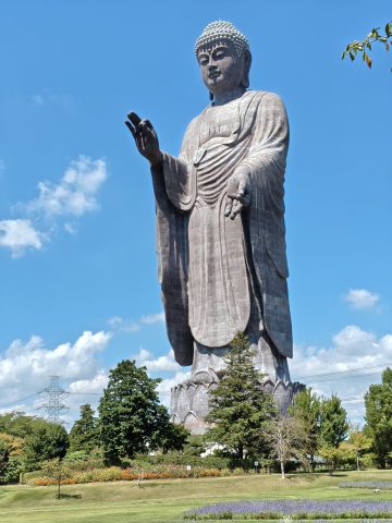 世界最大!!