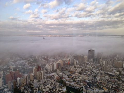 お家の景観はこだわりますか？