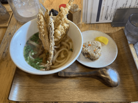 ごぼ天うどん!