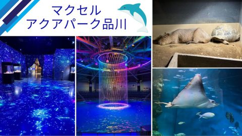 マクセル アクアパーク品川