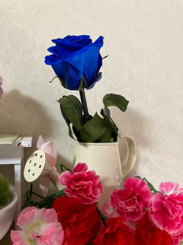 ホワイトデーの贈り物