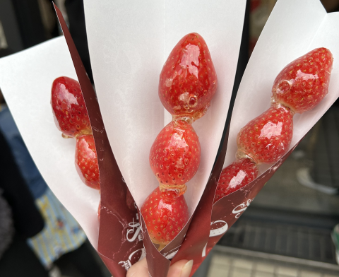 春休み