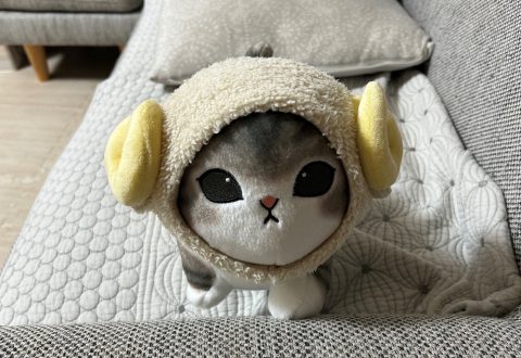 新しい家族