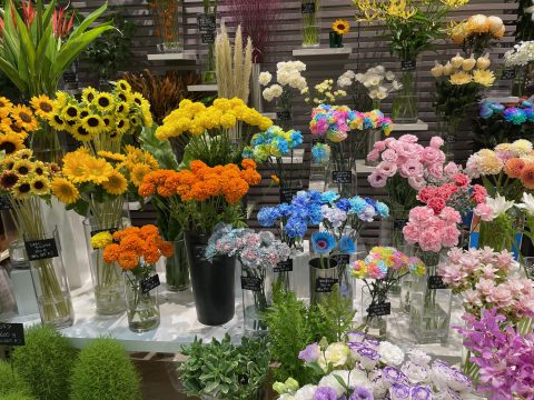 色とりどりのお花