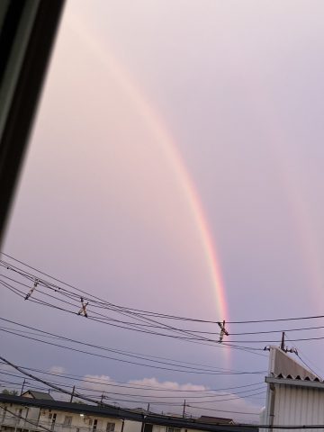 雨上がりに癒されました。