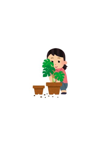 ビヨ～～ン