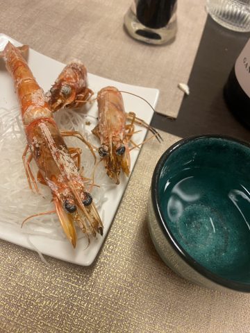 最近のエビ達