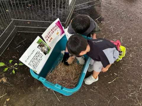 避暑地