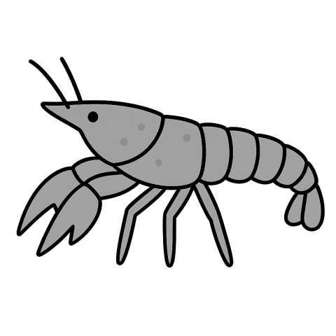 分身するザリガニ！