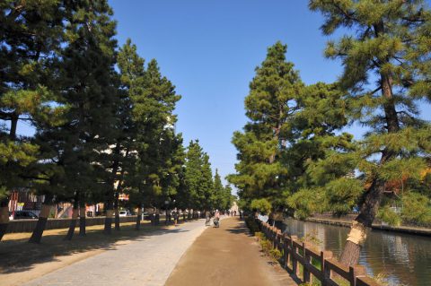 歩いて感じる、草加の住みやすさと街の魅力