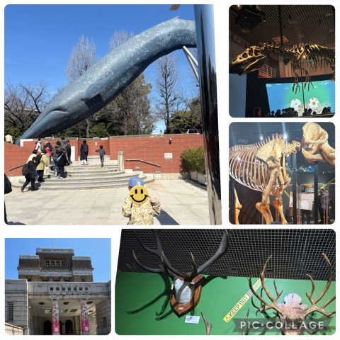 超危険生物展