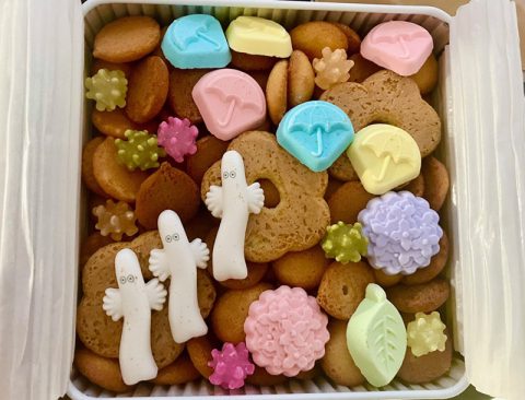 甥っ子からの嬉しいお土産
