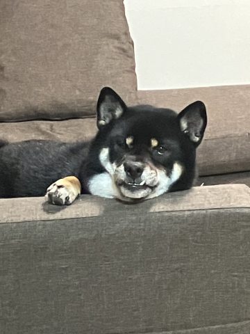 最近お気に入りの場所