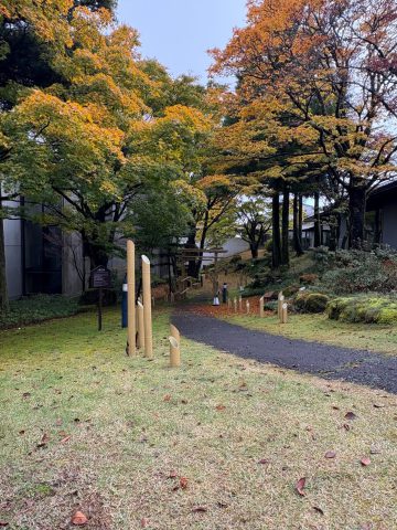 秋の紅葉