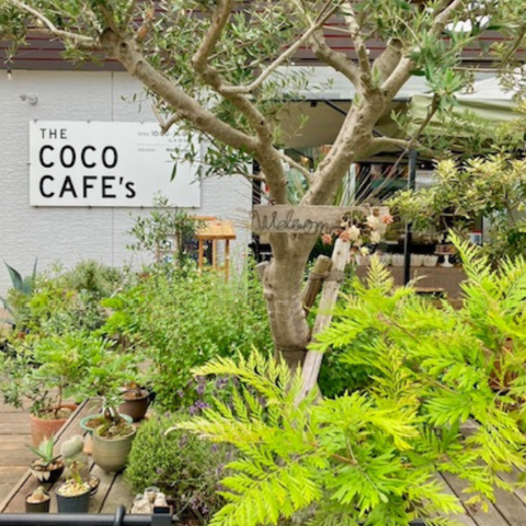 THE COCO CAFE’s
