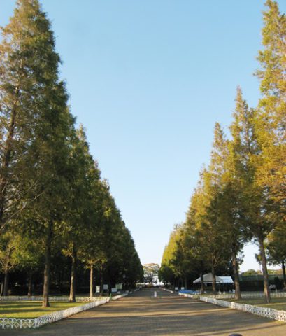 そうか公園