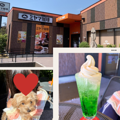 ミヤマ珈琲 草加清門町店