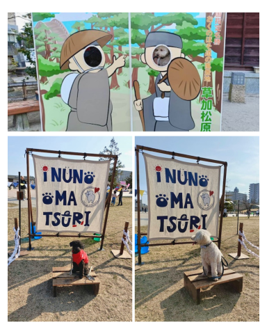 いぬのおまつり