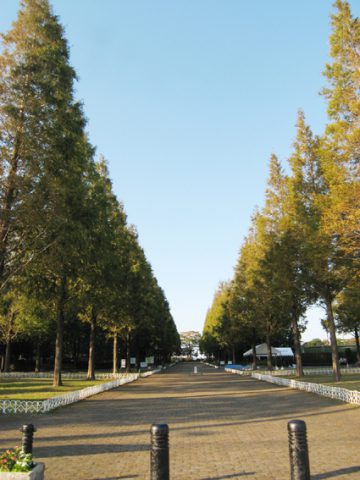 草加市周辺夏のおすすめお出かけスポット