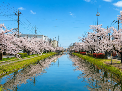スタッフに聞いてみた「草加のここが好き」景観編