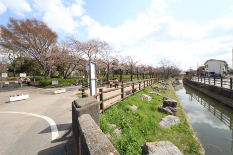 7年ぶり開催｜草加市民納涼大花火大会が開催されます