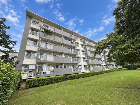 【お預かり情報】新栄町団地4街区3号棟(5階) | 内装リフォーム歴有り・南向き