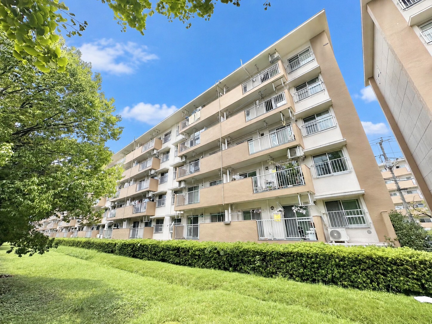 【お預かり情報】新栄町団地1街区2号棟(5階) | 最上階南向き・内装リフォーム歴有