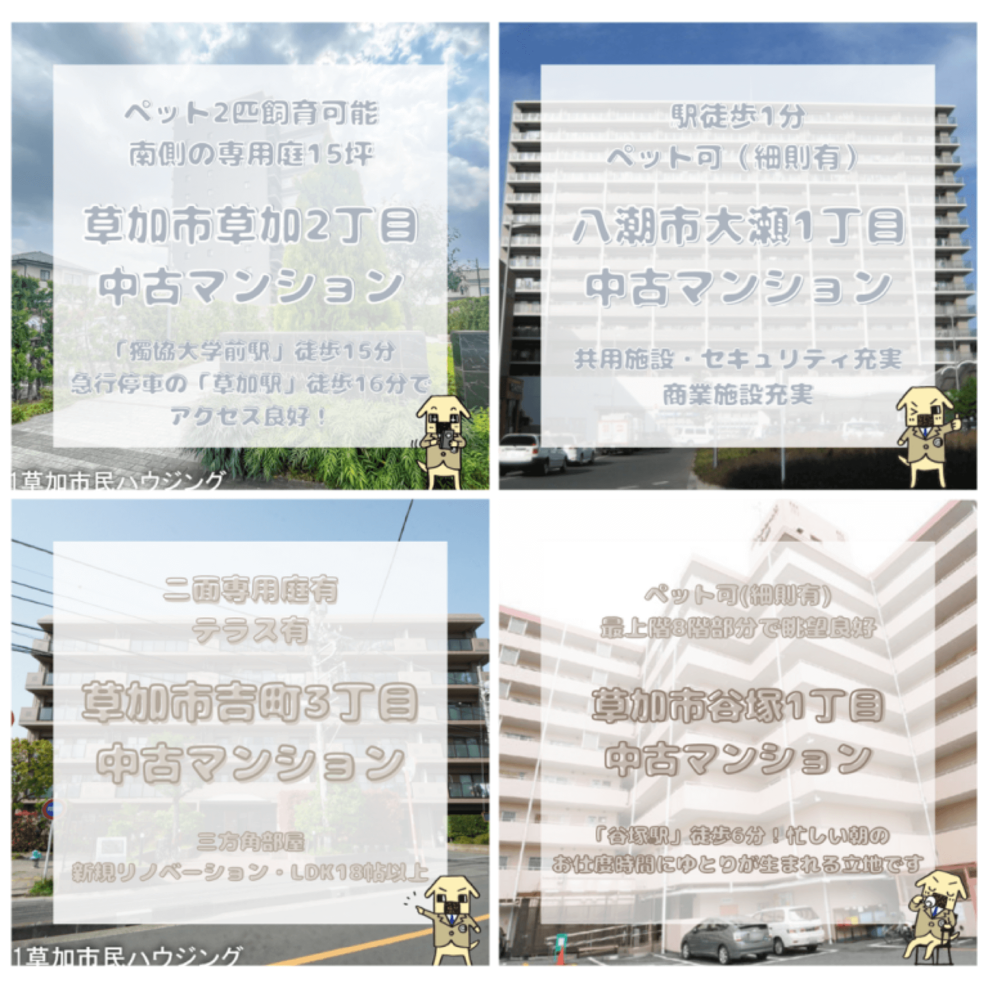 マンションのご紹介