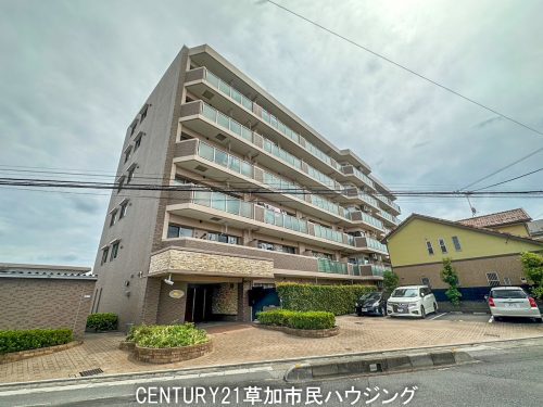 【お預かり情報】ベルドゥムール草加弁天