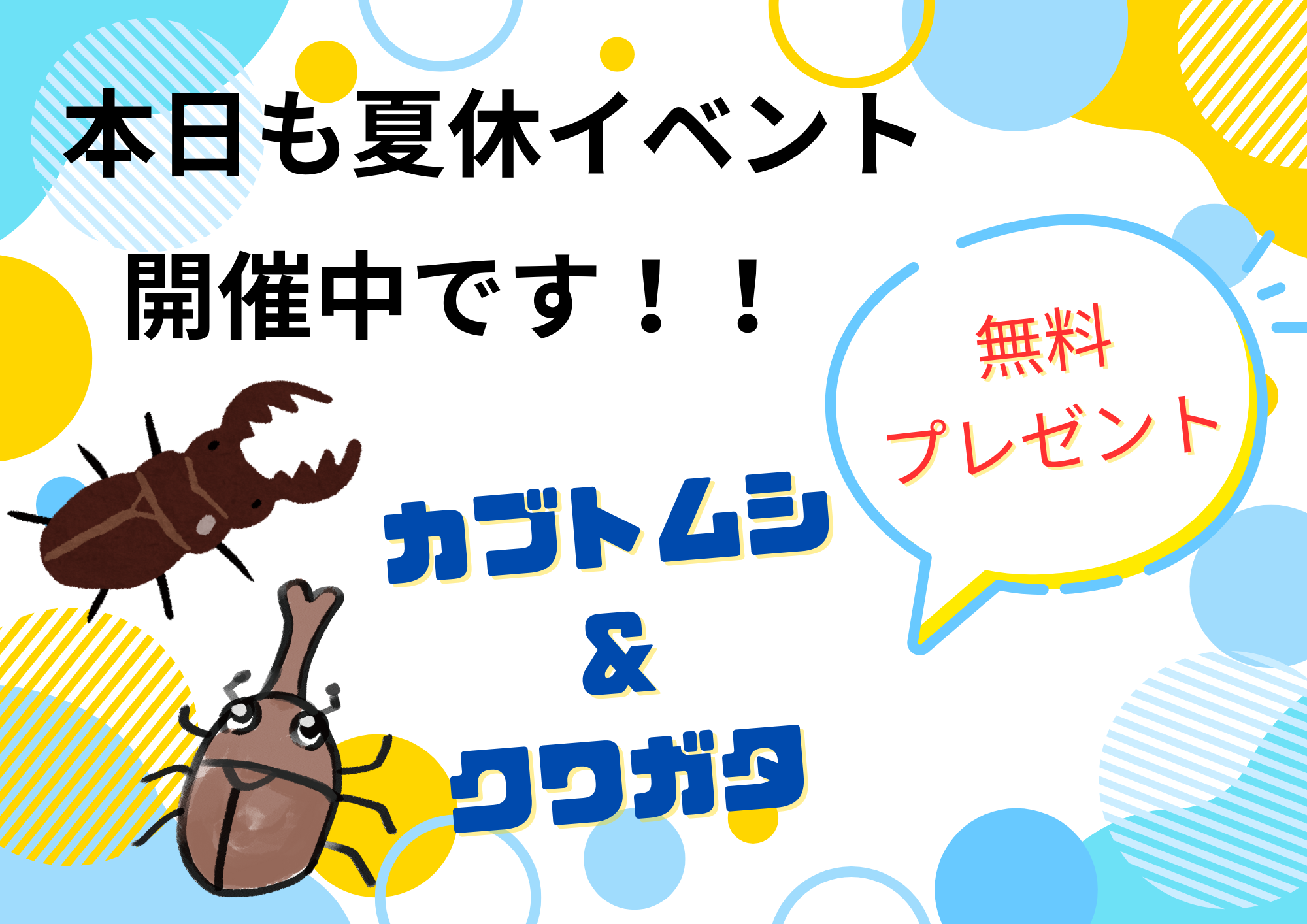 本日もカブトムシ＆クワガタプレゼント！