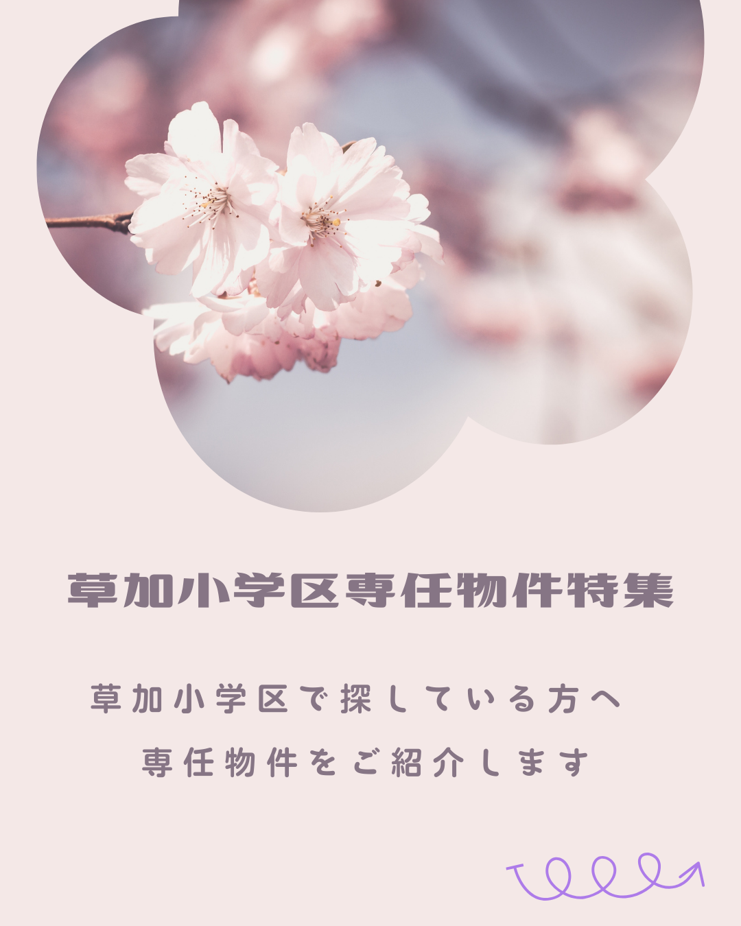 草加小学区専任物件特集のお知らせ