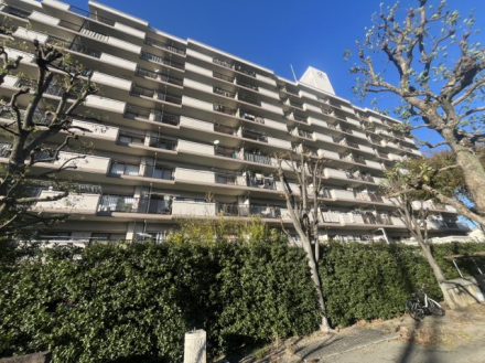 ★ルームツアー★草加市花栗3丁目 中古マンション